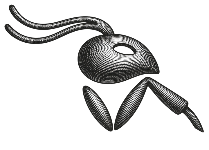 Showreel poster — ANT Ideas craft still